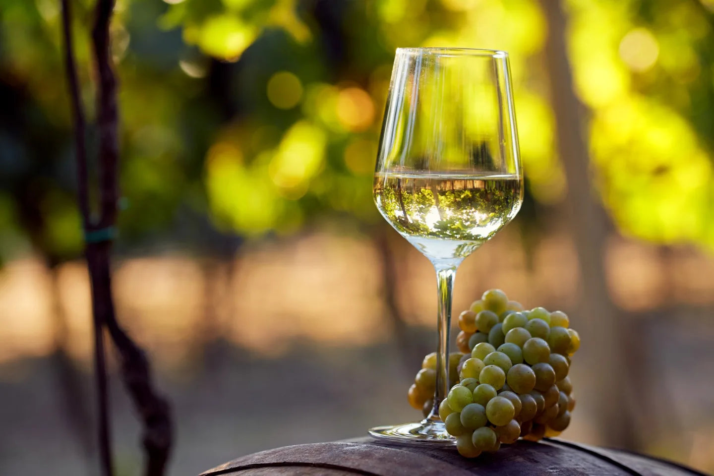 White Wine | The Alabaster