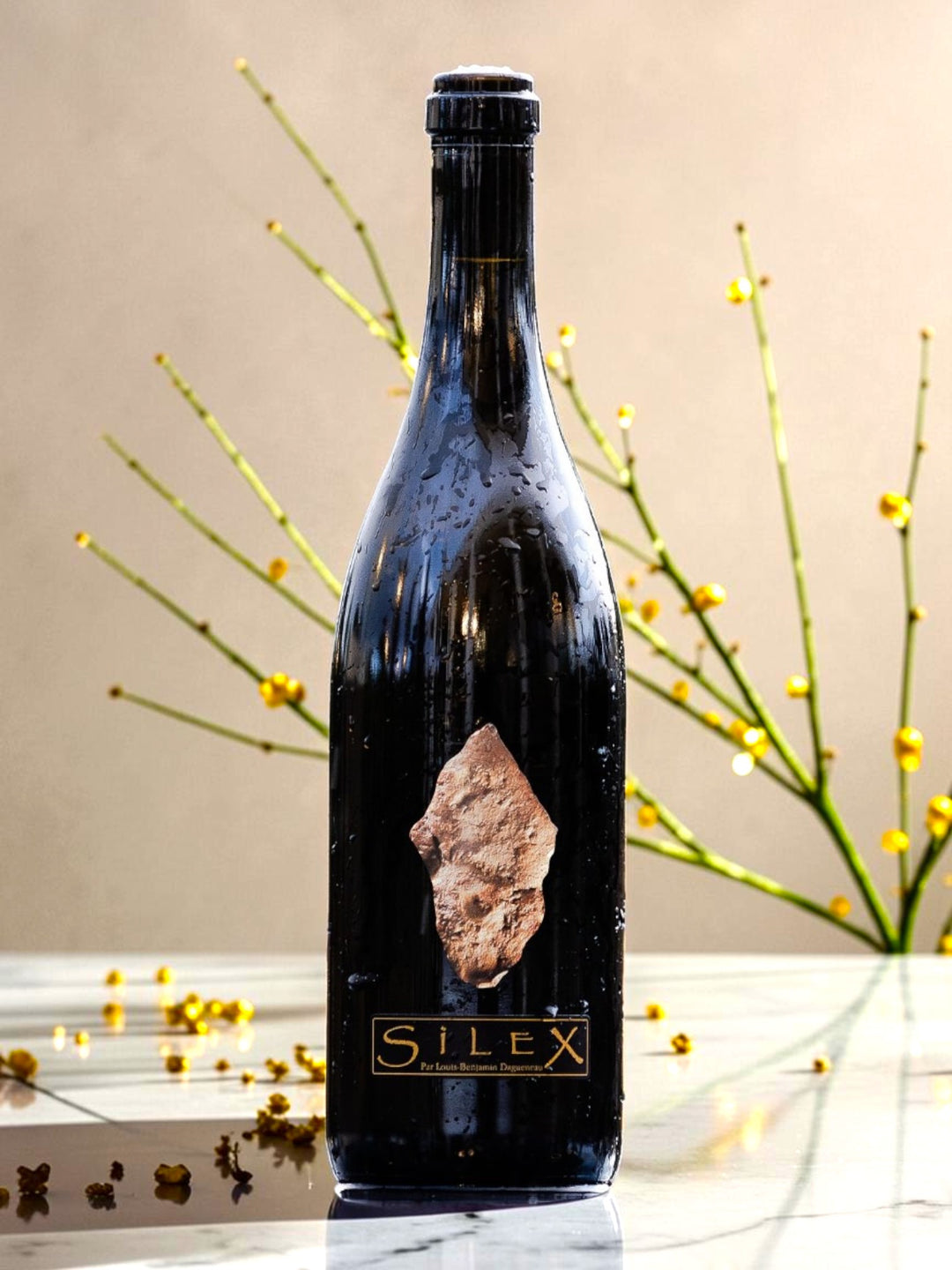 Domaine Didier Dagueneau &