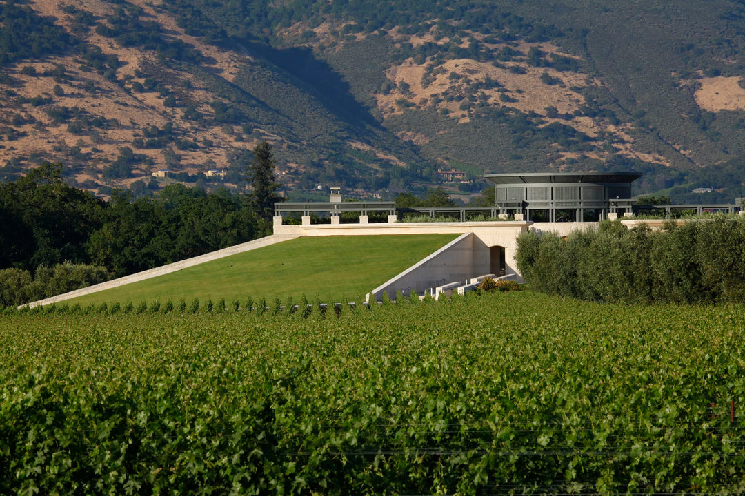 Opus One 2022 — Napa Valley Bordeaux Blend, Mondavi-Rothschild Joint Venture